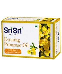 Evening Primrose Oil