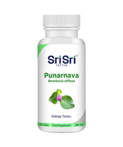 Punarnava Capsules